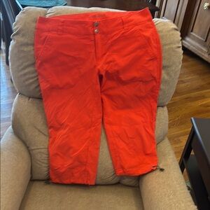 Bright Orange Casual Pants